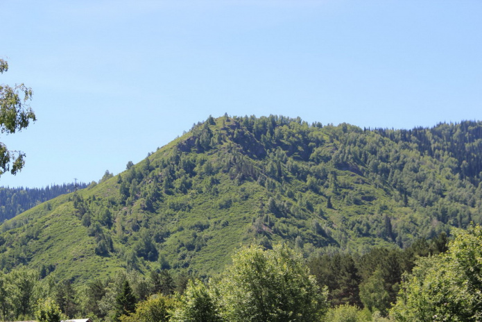 Практикуйся летом! - PR